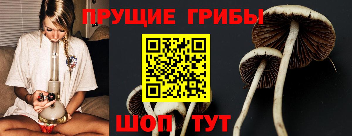 Галлюциногенные грибы прущие грибы  Вход с VPN  купить  цена  Электрогорск 