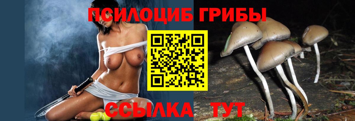 Галлюциногенные грибы Magic Shrooms Электрогорск